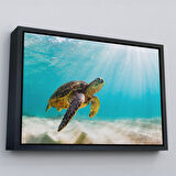 Siyah Çerçeveli Caretta Caretta Dekoratif Kanvas Tablo