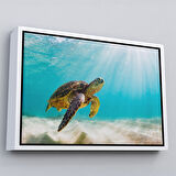 Siyah Çerçeveli Caretta Caretta Dekoratif Kanvas Tablo