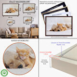 Beyaz Çerçeveli Golden Köpek İle Uyuyan Yavru Kedi Dekoratif Kanvas Tablo