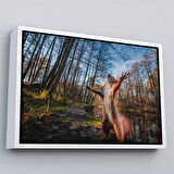 Kahverengi Çerçeveli Sincap Dekoratif Kanvas Tablo