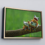 Siyah Çerçeveli Küçük Kurbağalar Dekoratif Kanvas Tablo