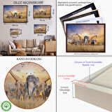 Beyaz Çerçeveli Hayvanlar Alemi Dekoratif Kanvas Tablo