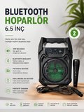 Bluetooth Hoparlör Mikrofonlu Taşınabilir Ses Sistemi FM Radyo USB SD Kart ve TWS Özellikli