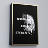 Kahverengi Çerçeveli Dünden Öğrenin Bugünü Yaşayın Yarını Umut Edin Kanvas Tablo, Albert Einstein