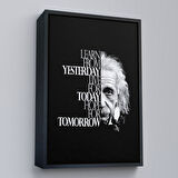 Kahverengi Çerçeveli Dünden Öğrenin Bugünü Yaşayın Yarını Umut Edin Kanvas Tablo, Albert Einstein