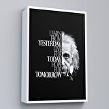 Kahverengi Çerçeveli Dünden Öğrenin Bugünü Yaşayın Yarını Umut Edin Kanvas Tablo, Albert Einstein