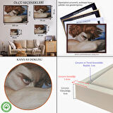 Beyaz Çerçeveli Düşmüş Meleğin Gözyaşları Tablosu, Alexandre Cabanel Fallen Angel's Eyes Tablosu