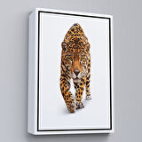 Altın Çerçeveli Vahşi Leopar Tablosu
