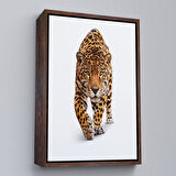 Altın Çerçeveli Vahşi Leopar Tablosu