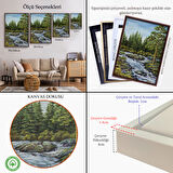 Siyah Çerçeveli Ormandan Akan Akarsu Tablo