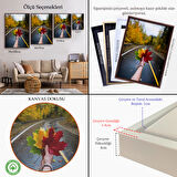 Beyaz Çerçeveli Sonbaharın Renkli Yaprakları ve Yol Manzarası Duvar Tablosu