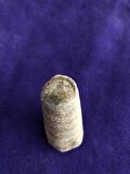 Kafadanbacaklı Baculites Fosil 45 Gram
