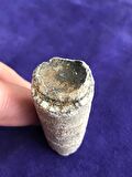Kafadanbacaklı Baculites Fosil 45 Gram