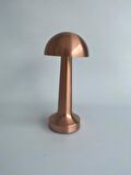 Mantar Model Retro Led Masa Lambası (Bronz)