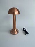 Mantar Model Retro Led Masa Lambası (Bronz)