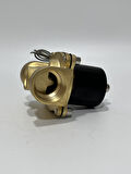 2W-250-25 DC 24V Elektromanyetik Valf - Solenoid Valf