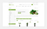Monstera -  Flower Store OpenCard Teması