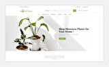 Monstera -  Flower Store OpenCard Teması