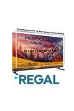 Regal 65F01750  65 İNÇ TV EKRAN KORUYUCU