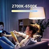 İgotech RGB - Günışığı - Beyaz Akıllı Led Ampül Wifi Bluetooth Mobil ve Kumanda Kontrollü
