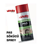 WELLY CHEM PS200 PAS SÖKÜCÜ YAĞLAYICI KORUYUCU SPREY 