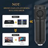 Profesyonel Mikrofon Seti Canlı Yayın Ses Mikseri Kartı Kayıt Stüdyosu Podcast  Oluşturma