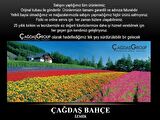 İtal Beiyuan Koyun Kırkma Makası Bıçağı Alt Üst Takım