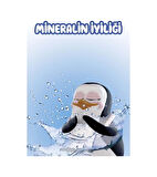 Familia Islak Havlu Mendil Mineralin Iyiliği 90 Yaprak Plastik Kapaklı 6Lı Set 540 Yaprak