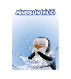 Familia Mineralin İyiliği Islak Havlu Mendil 90x24 2160 Yaprak