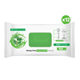 Sleepy Pine Yüzey Temizlik Havlusu&Mendili Çam Ferahlığı 12x100 (1200 Yaprak)