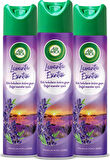 Air Wick Aerosol Lavanta Esintisi 3x300 Ml Lavanta 