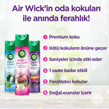 Air Wick Aerosol Lavanta Esintisi 3x300 Ml Lavanta 