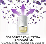 Air Wick Elektrikli Oda Kokusu Yedek Şişe Lavanta x 3