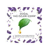 Air Wick Elektrikli Oda Kokusu Yedek Şişe Lavanta x 3