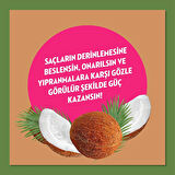 Elidor Doğanın Enerjisi Hindistan Cevizi Yağlı Onarıcı Şampuan 3 x 400 ML