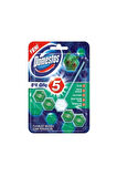 Domestos Wc Blok 5'lı Guc Cam Ferah.55gr