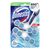 Domestos 5'li Güç Tuvalet Bloğu Okyanus Ferahlığı 2x55 Gr