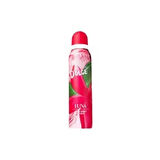 Dolce Deodorant Luna 150 Ml