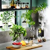 IKEA 365+ Ihardig 4'lü Baharat Takımı