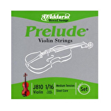 DADDARIO J810116