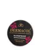 Dermacol make-Up Cover Fondöten Kapatıcı 209