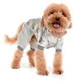 Küçük ve Orta Irk Köpek Paçalı Mont Orvar