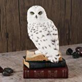 VERONESE BİBLOLAR-Wise Hayvanlar Alemi-WISE KİTAP ÜSTÜNDE KAR BAYKUŞU-11*11,5*17,5 CM-JWU78178AA