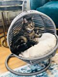 İSTANBUL MOB KEDİ SALINCAĞI GRİ 