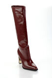 Bordo  Kadın Çizme K03565090642