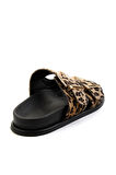 Leopar  Kadın Terlik K04503063104