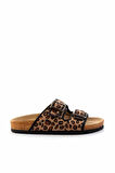 Leopar Kumaş  Kadın Terlik K04819182204