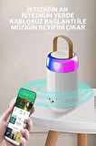 Kablosuz Taşınabilir Karaoke Bluetooth Hoparlör Mikrofon Ev ve Outdoor Çocuk ve Yetişkin Ses Bombası