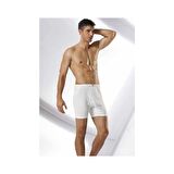 Namaldı 107 Erkek Arjantin Boxer  6 Adet
