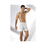 Namaldı 107 Erkek Arjantin Boxer  6 Adet